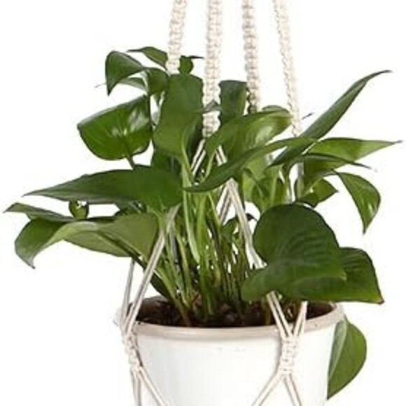 (3 Pack) Bohemien BOHO Macrame Plant Hanger Set - Picture 1 of 9